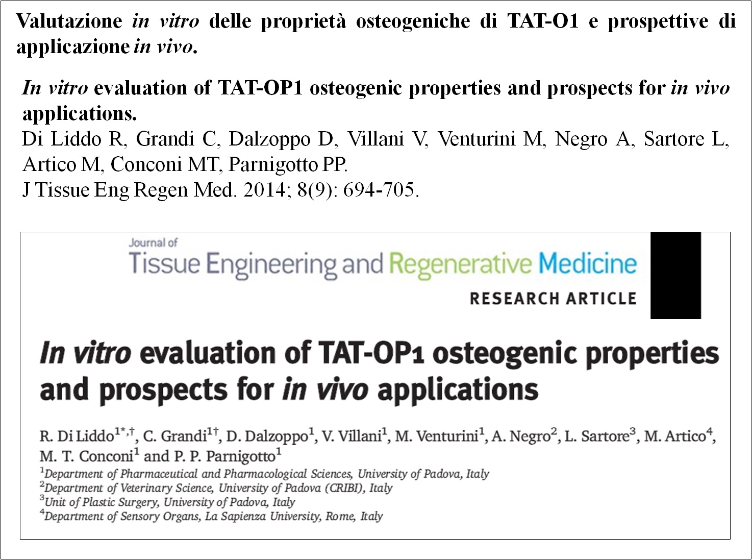Valutazione in vitro delle proprietà osteogeniche di TAT-0P1 e prospettive di applicazione in vivo