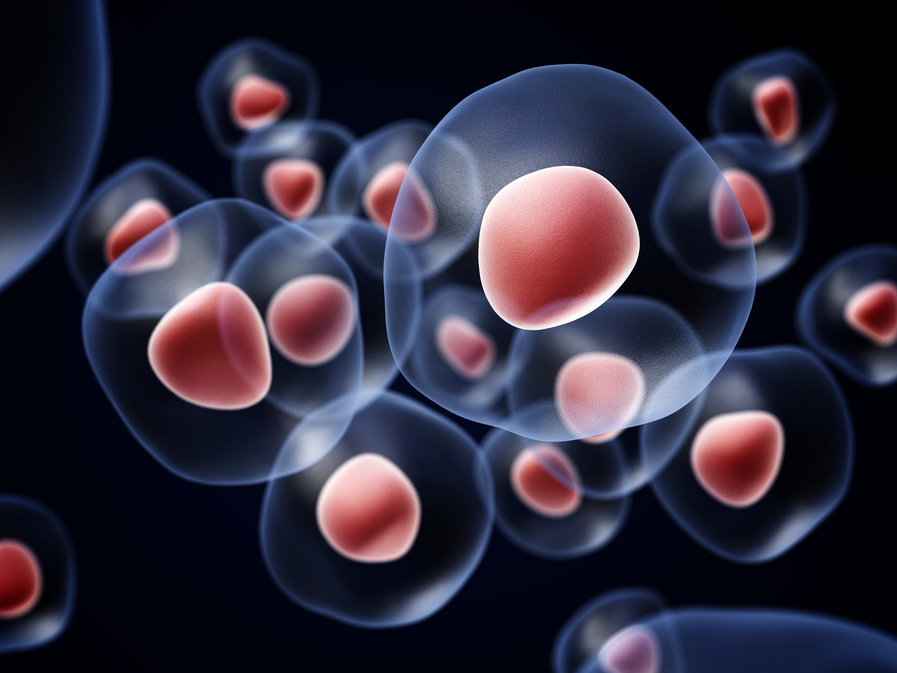 Importanti pubblicazioni scientifiche di TES sull’utilizzo innovativo di cellule staminali da sangue periferico